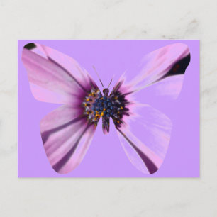 Bloemvlinder Briefkaart