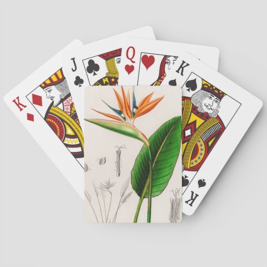 Bloemvogel met paradijzen, geïllustreerd pokerkaarten (Achterkant)