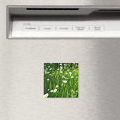 Bloemweide Magneet (Insitu (Vaatwasser))
