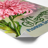  bloemzaadpakket, Circa 1911 Poster (Hoek)