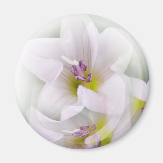 bloesdans magneet (Voorkant)
