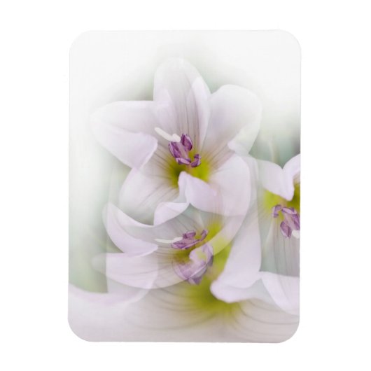 bloesdans magneet (Verticaal)
