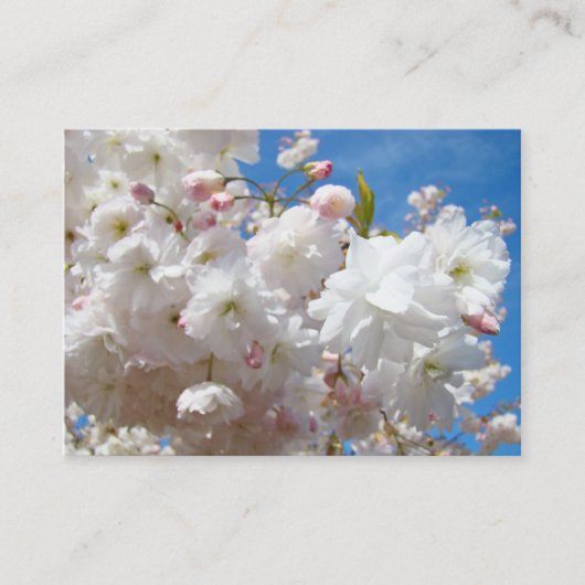 Bloesem Bloemen Lente Afspraak Kaarten Herinnering Afsprakenkaartje (Voorkant)