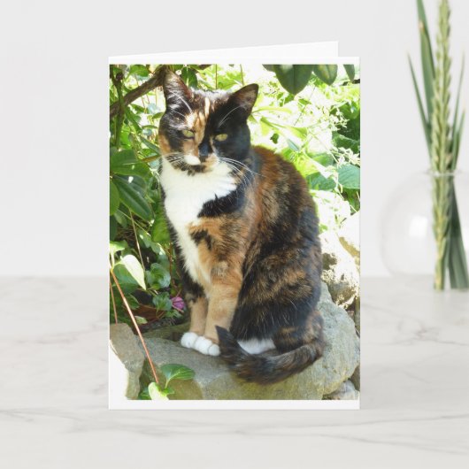 Bloesem Kaart (Voorkant)