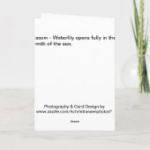 Bloesem Kaart (Achterkant)