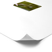 Bloesem  poster (Hoek)