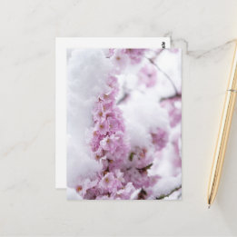 Bloesemans Postkaart