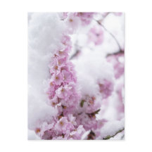 Bloesemans Postkaart