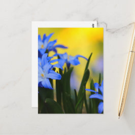Bloesemans Postkaart