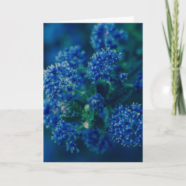 Bloesems Kaart