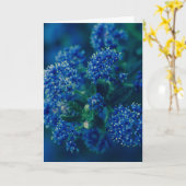 Bloesems Kaart (Gele Bloem)
