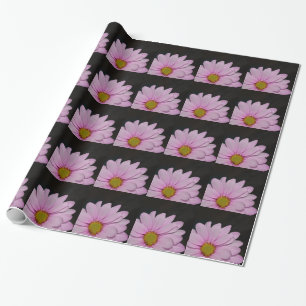 Bloesems Madeliefje Bloemen Vrede Liefde Natuur Be Cadeaupapier