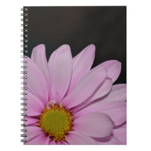 Bloesems Madeliefje Bloemen Vrede Liefde Natuur Be Notitieboek