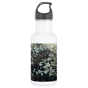 Bloesems Takken Boom Park Lente Bloemen Bos Waterfles
