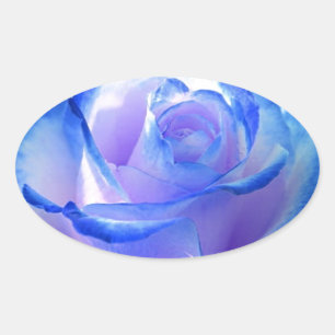 bloesems wijnstokken bloemblad roos bloemen bloem ovale sticker