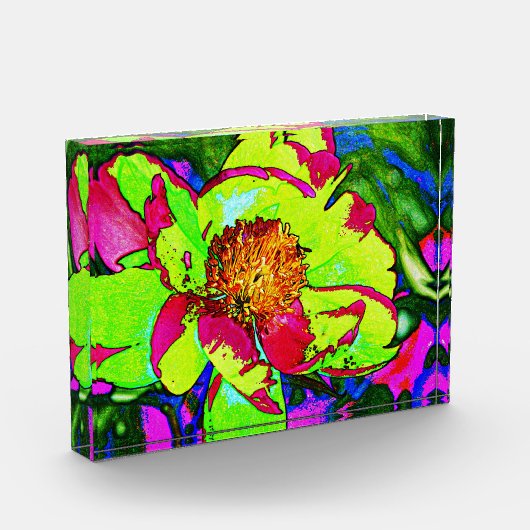 Blok van acrylveer (Links)