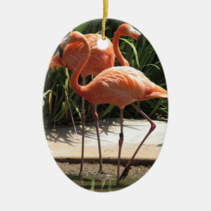 Blok van Flamingos Ornament