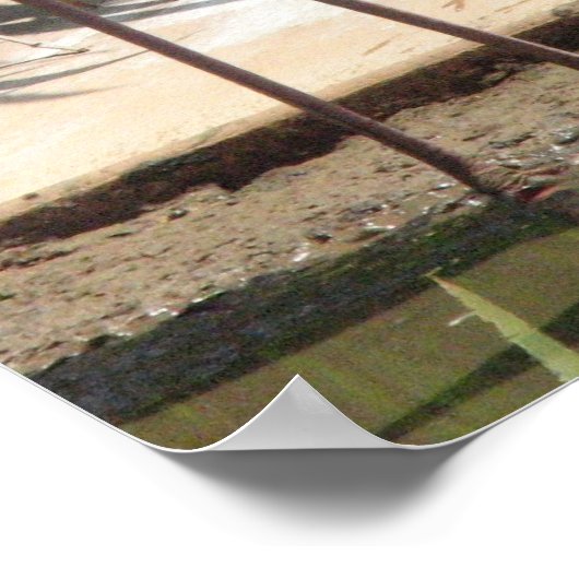 Blok van het Poster Flamingos (Hoek)