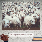 Blok van witte en zwarte schapen poster
