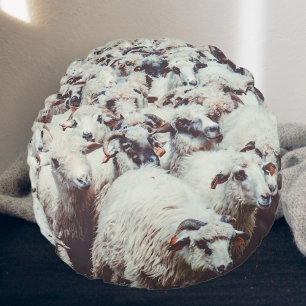 Blok van witte en zwarte schapen rond kussen