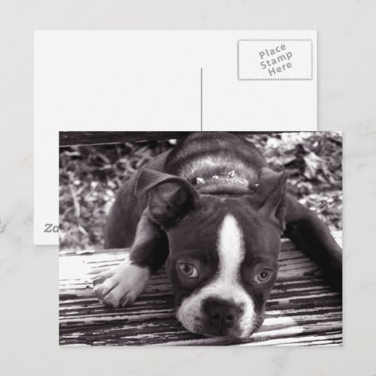 Blokkaartje voor de grote Boston Briefkaart (Voorkant / Achterkant)