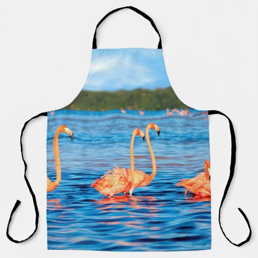 Blokken van mooie roze flamingos in de Celestun Schort (Voorkant)