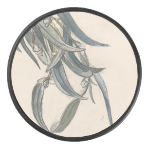 Blokkeren van een eucalyptus hockey puck