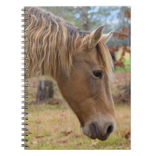Blond Beauty Paard Notitieboek