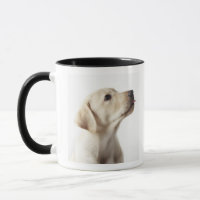 Blond labrador puppy die tong uitsteekt