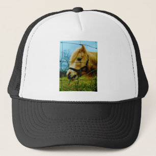 Blond miniatuur Pony/Horse Blue Sky Trucker Pet