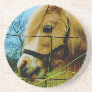 Blond miniatuur Pony/Horse Blue Sky Zandsteen Onderzetter