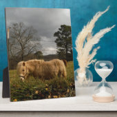 Blond miniatuur Pony/paard Fotoplaat (Zijkant)