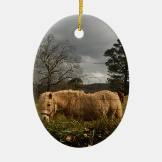 Blond miniatuur Pony/paard Keramisch Ornament (Voorkant)