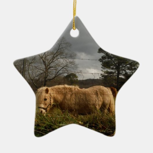 Blond miniatuur Pony/paard Keramisch Ornament (Voorkant)