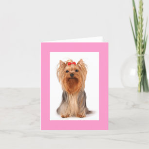 Blond Yorkshire Terrier Chien Chien Carte pour not