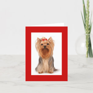 Blond Yorkshire Terrier Chien Chien Carte pour not