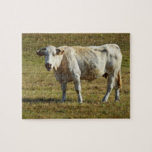 Blonde Aquitaine koe Legpuzzel