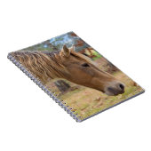 Blonde Beauty Horse Carnet (Côté Droit)