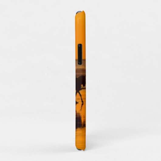 Blonde & Broke Equestrian - iPhone / coque ipad (Dos/Droite)