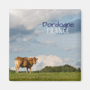 Blonde d'Aquitaine-koe in de regio Dordogne, Frank Magneet