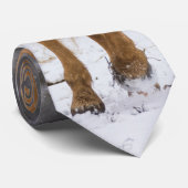 Blonde Horse Walk Dans Le Cravate De Neige (Roulé)