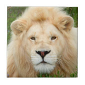 Blonde Pearl Tegeltje (Voorkant)