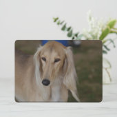Blonde Saluki Dog Kaart (Staand voorkant)
