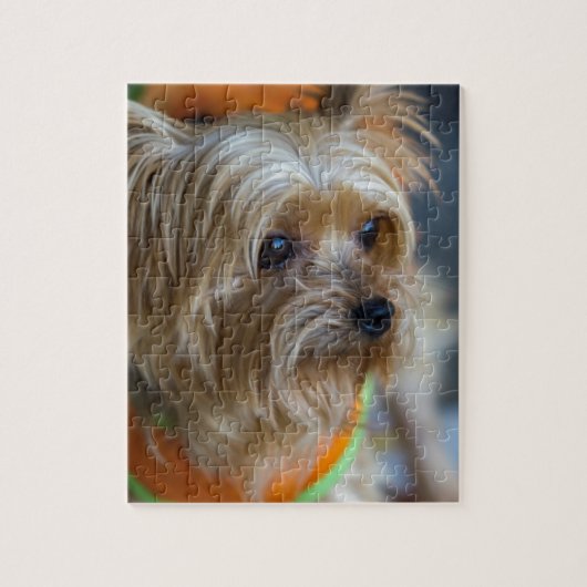 Blonde Yorkshire Terrier Legpuzzel (Verticaal)