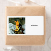 blonde zeemeermin etiket (Insitu)