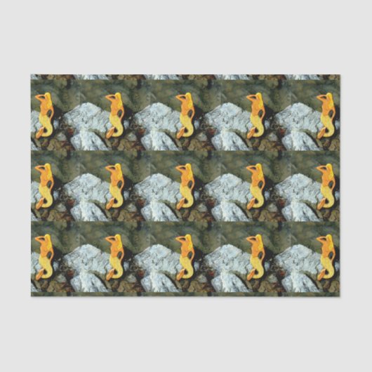 blonde zeemeerminnen tissuepapier (Voorkant)