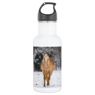 Blondenpaard loopt in het sneeuwroestvrijstalen af waterfles
