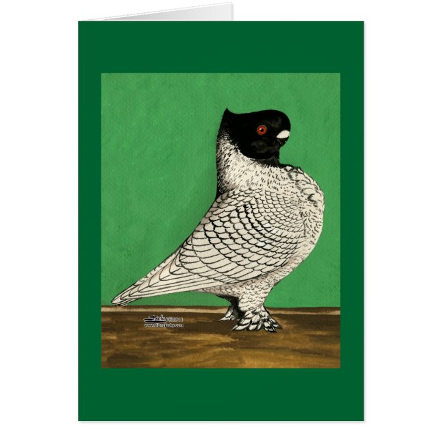 Blondinette Frill Pigeon (Devant)