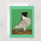 Blondinette Frill Pigeon Briefkaart (Voorkant / Achterkant)