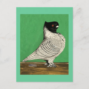 Blondinette Frill Pigeon Briefkaart